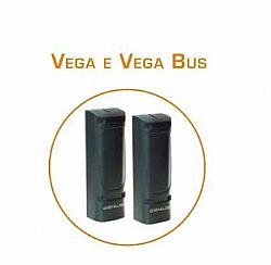 VEGA